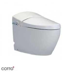 Bồn cầu 1 khối Cotto C10037 Terranova