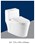 Bồn cầu liền khối AQUA - AQ2094