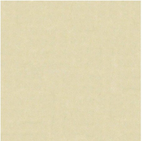 Gạch Bạch Mã 60x60 MM6002