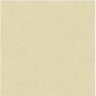 Gạch Bạch Mã 60x60 MM6002