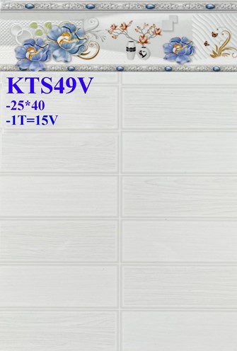 Gạch giá rẻ 25x40 KTS49V