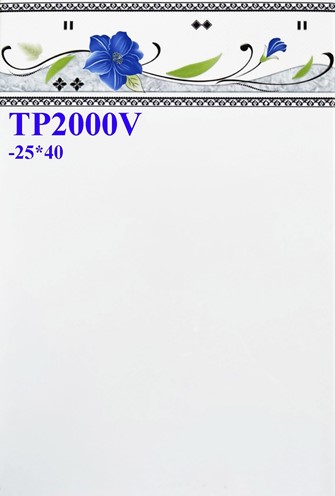 Gạch men giá rẻ 25x40 TP2000V