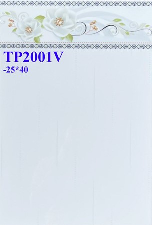 Gạch men giá rẻ 25x40 TP2001V