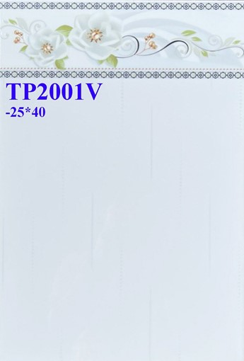 Gạch men giá rẻ 25x40 TP2001V