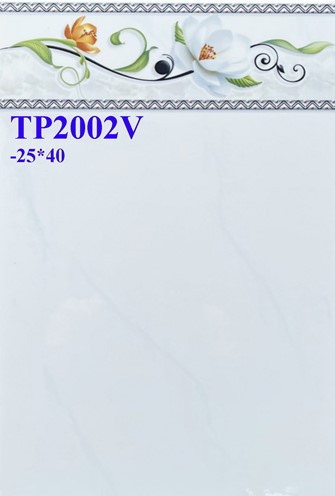 Gạch men giá rẻ 25x40 TP2002V