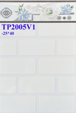 Gạch men giá rẻ 25x40 TP2005V1