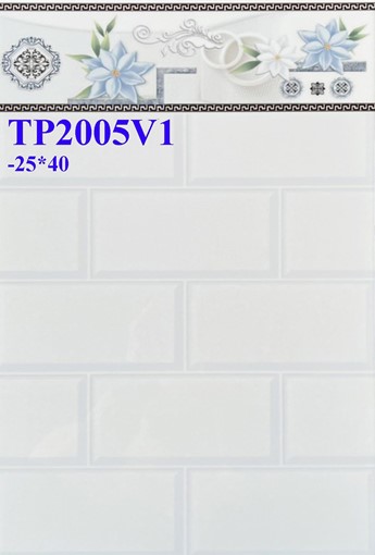 Gạch men giá rẻ 25x40 TP2005V1