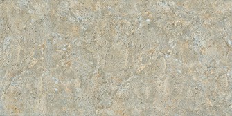 Gạch ốp tường Viglacera 30x60 KT3612