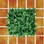 Gạch sân vườn 40x40 cm Đồng Tâm 4040CLG-002