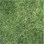 Gạch sân vườn 40x40 cm Đồng Tâm 4040GRASS-001