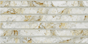 Gạch trang trí Viglacera 30x60cm GW3611
