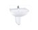 Lavabo chân treo Toto LHT236CR