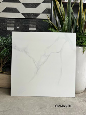  Đá mờ 60x60cm GRAND SMM66010