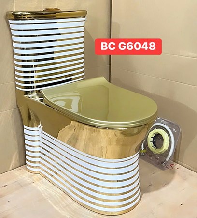 Bồn cầu khối BC-G6048Gold