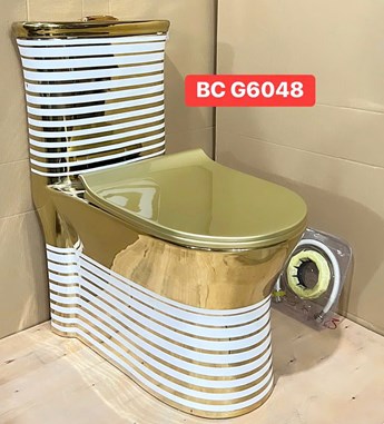 Bồn cầu khối BC-G6048Gold