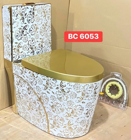 Bồn cầu khối BC6053