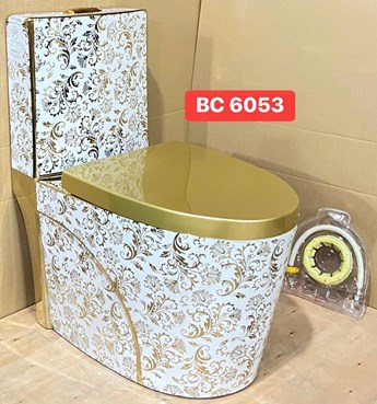Bồn cầu khối BC6053