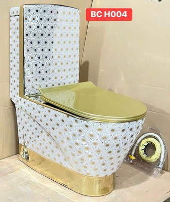 Bồn cầu khối H004