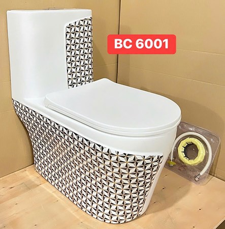 Bồn cầu Liền khối BC6001