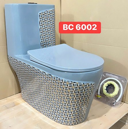 Bồn cầu Liền khối BC6002