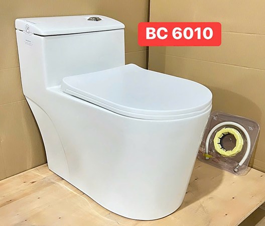 Bồn cầu Liền khối BC6010