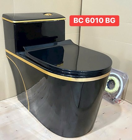 Bồn cầu Liền khối BC6010BG
