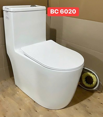 Bồn cầu Liền khối BC6020