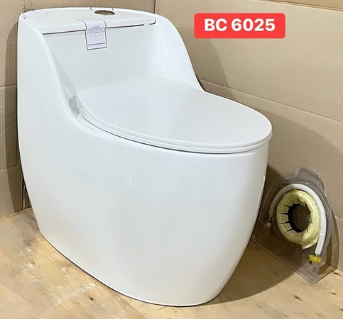 Bồn cầu Liền khối BC6025