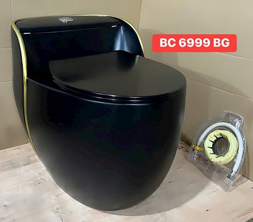 Bồn cầu Liền khối BC6999BG