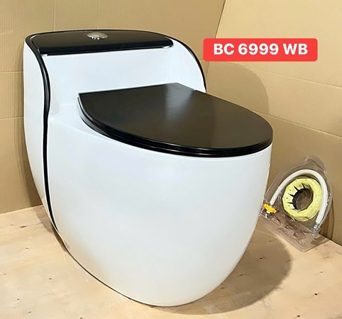 Bồn cầu Liền khối BC6999WB