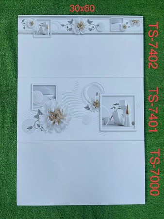 Gạch 30x60cm TASA đá bóng TS7000