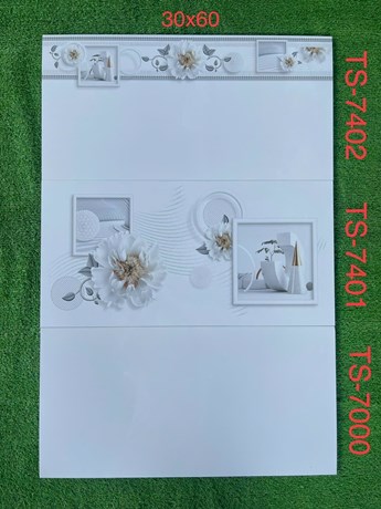 Gạch 30x60cm TASA đá bóng TS7000