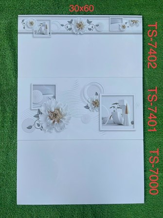 Gạch 30x60cm TASA đá bóng TS7000