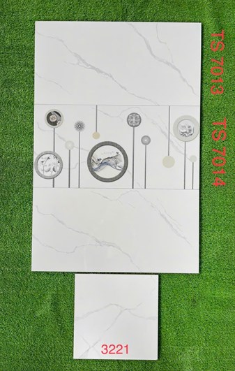 Gạch 30x60cm TASA đá bóng TS7013