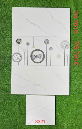 Gạch 30x60cm TASA đá bóng TS7013
