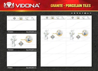 Gạch 40x80cm VIDONA TP48001