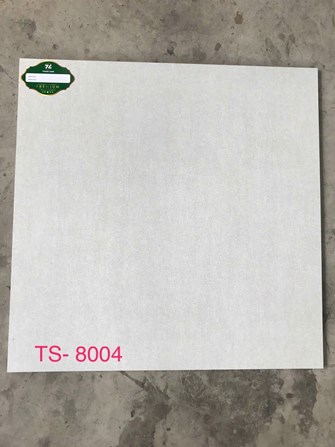 Gạch 80x80cm Porcelain Matt TASA TS8004