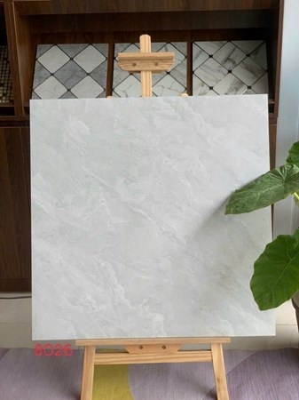 Gạch 80x80cm VIDONA 8026