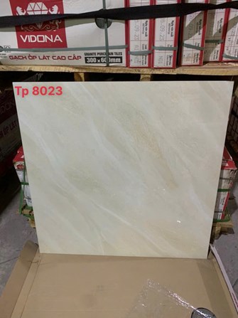 Gạch 80x80cm VIDONA TP8023