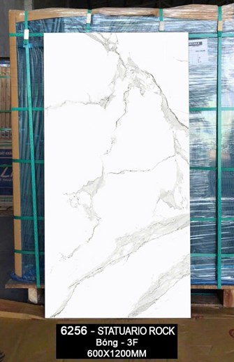 Gạch Ấn Độ 60x120cm bóng 6256