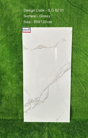 Gạch Ấn Độ 60x120cm SG6201