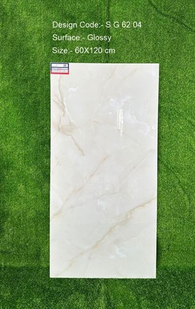 Gạch Ấn Độ 60x120cm SG6204