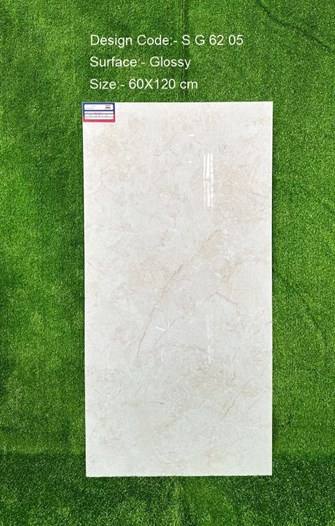 Gạch Ấn Độ 60x120cm SG6205