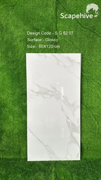 Gạch Ấn Độ 60x120cm SG6207