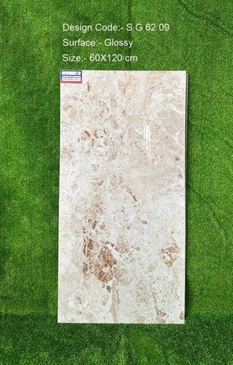 Gạch Ấn Độ 60x120cm SG6209