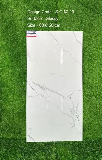 Gạch Ấn Độ 60x120cm SG6213