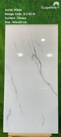 Gạch Ấn Độ 60x120cm SG6216