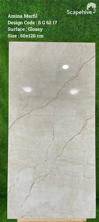 Gạch Ấn Độ 60x120cm SG6217