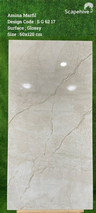 Gạch Ấn Độ 60x120cm SG6217