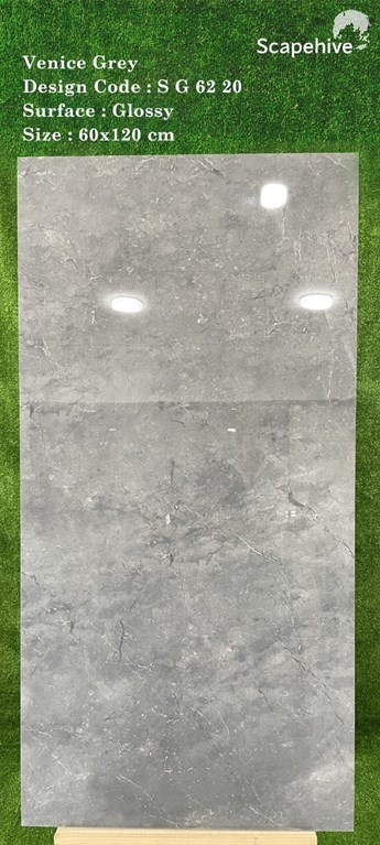 Gạch Ấn Độ 60x120cm SG6220